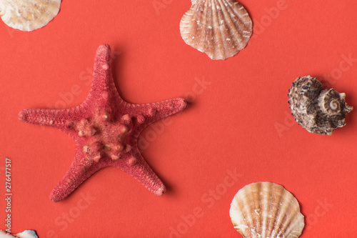 Starfish on the background of living coral. Close-up. Marine concept
