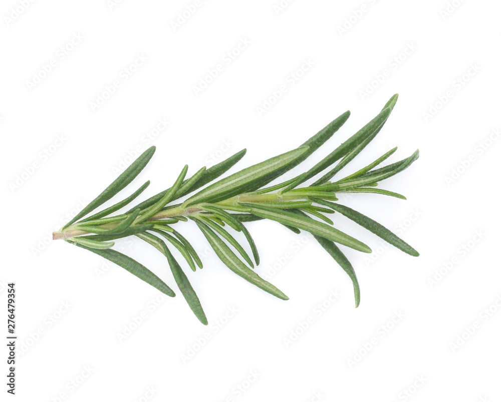 rosemary isolated on white background