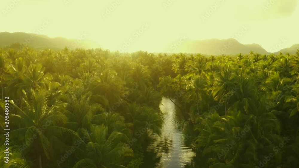 Sunset nature river landscape and palm trees aerial view. People having active fun in river. Sunset nature river landscape and palm trees aerial view. People having active fun in river.