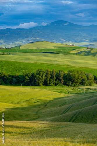 Beautifully illuminated landscape of Tuscany . green hills © ZoomTeam