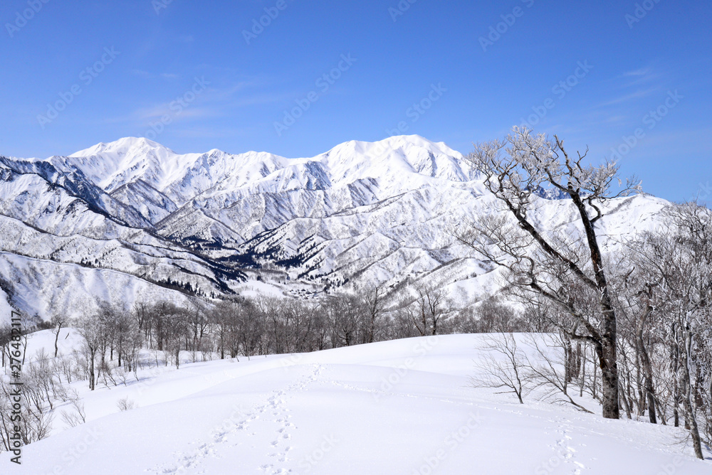 冬の魚沼三山（越後駒ヶ岳と中ノ岳）