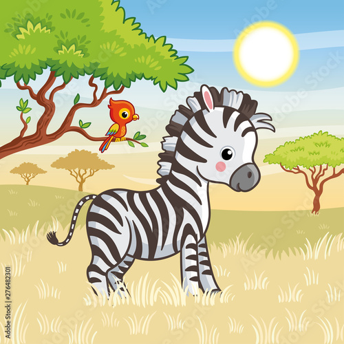 Zebra is standing in the savannah. Vector illustration