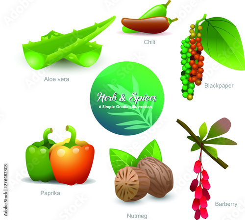 set of  herb and spices