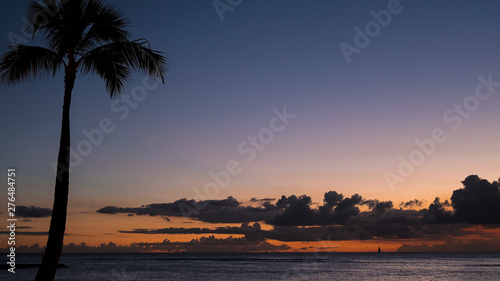 Evening tropical sky with silhouetted coconut palm tree to the left and wide open views towards ocean, dramatic sky and a faraway boat in Honolulu, Oahu Island, Hawaii