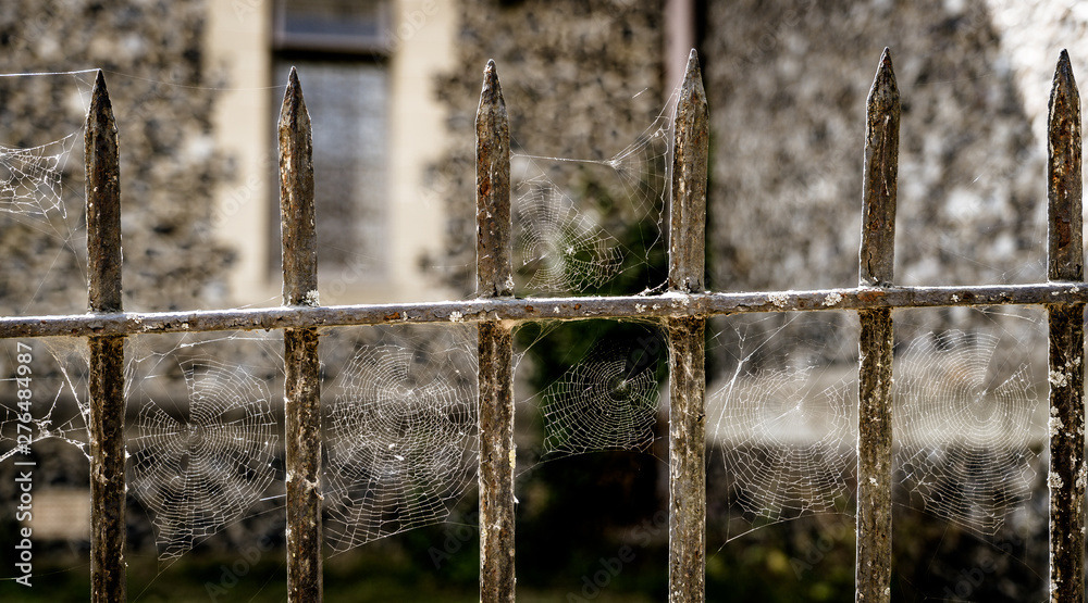 Spooky Creepy Spiderweb Cobweb Spider on Rusty Metal Fence Gate in Churchyard Graveyard Spooky Creepy Spiderweb Cobweb Spider on Rusty Metal Fence Gate in Churchyard Graveyard