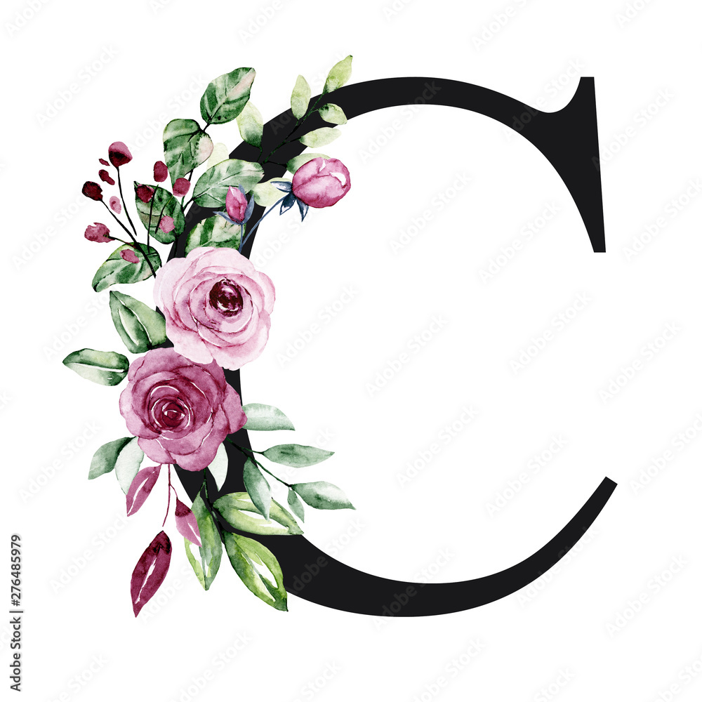 flowers that start with the letter c Jodie Mccord