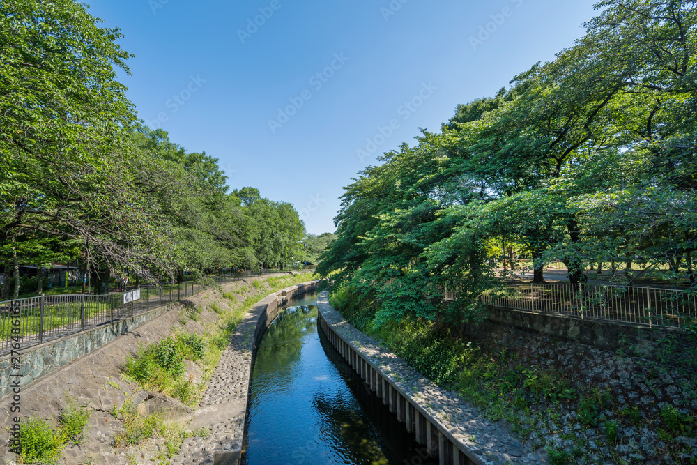 善福寺川緑地の風景