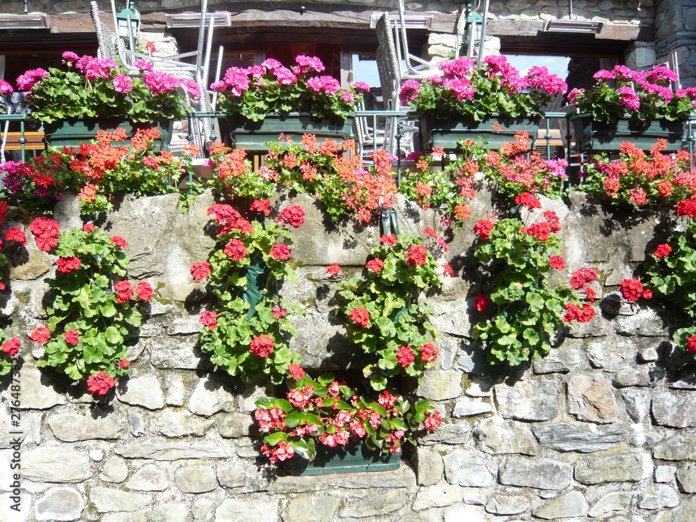 Naklejka premium Ivoire イヴォアール_045