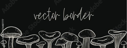 vector border of mushrooms: honey mushrooms, chanterelles, porcini, boletus, champignon. the style of engraving and the chalk boards