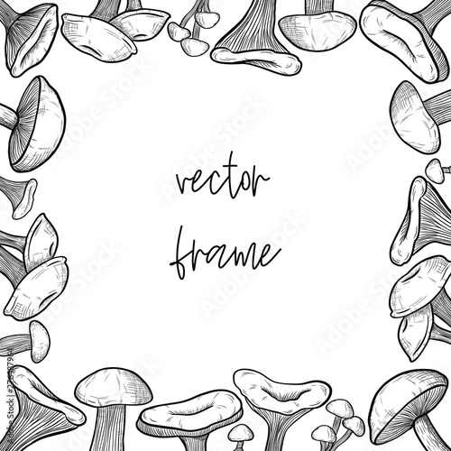 vector square frame of mushrooms: honey mushrooms, chanterelles, white mushrooms, mushrooms. engraving style