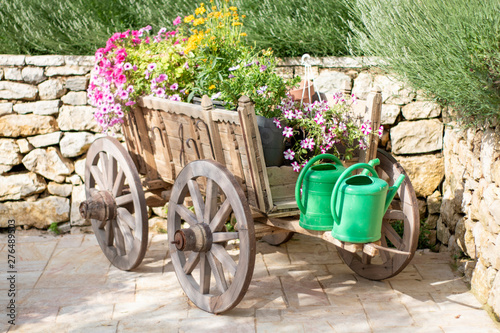 this is a capture of an old cart which serve as a decoration with some pink flowers  