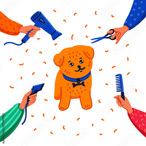 Pet grooming concept. Happy lap-dog and hands with comb, hair dryer, scissors...