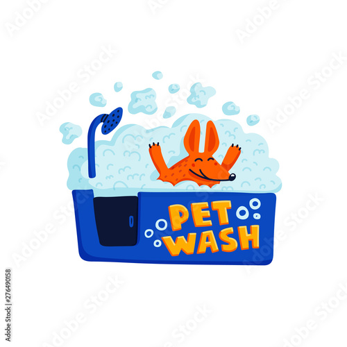 Pet grooming concept. Happy dog taking a bath full of soap foam on white back...