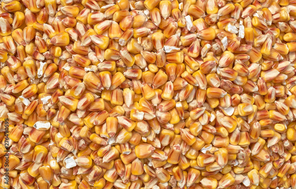 Background texture of crushed seed and grain mix for livestock and bird feed Background texture of crushed seed and grain mix for livestock and bird feed