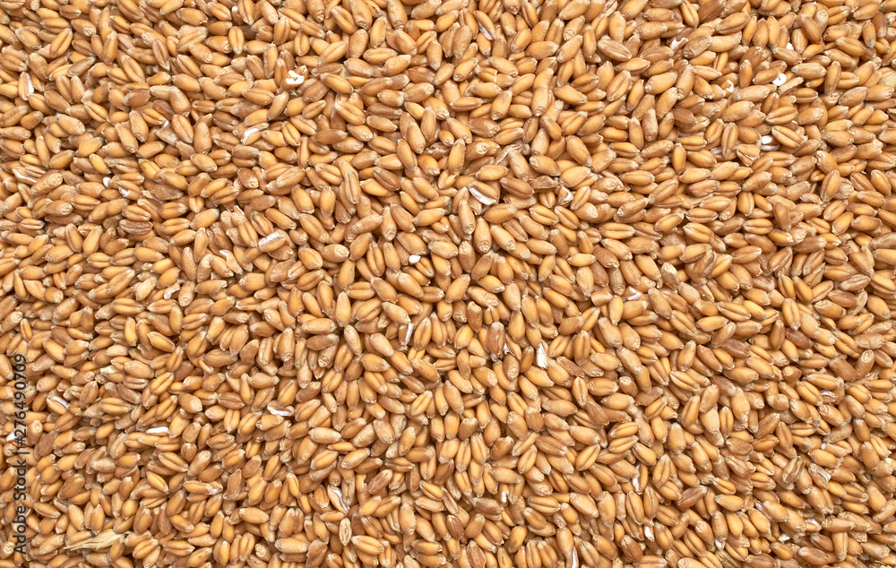 Background texture of crushed seed and grain mix for livestock and bird feed Background texture of crushed seed and grain mix for livestock and bird feed