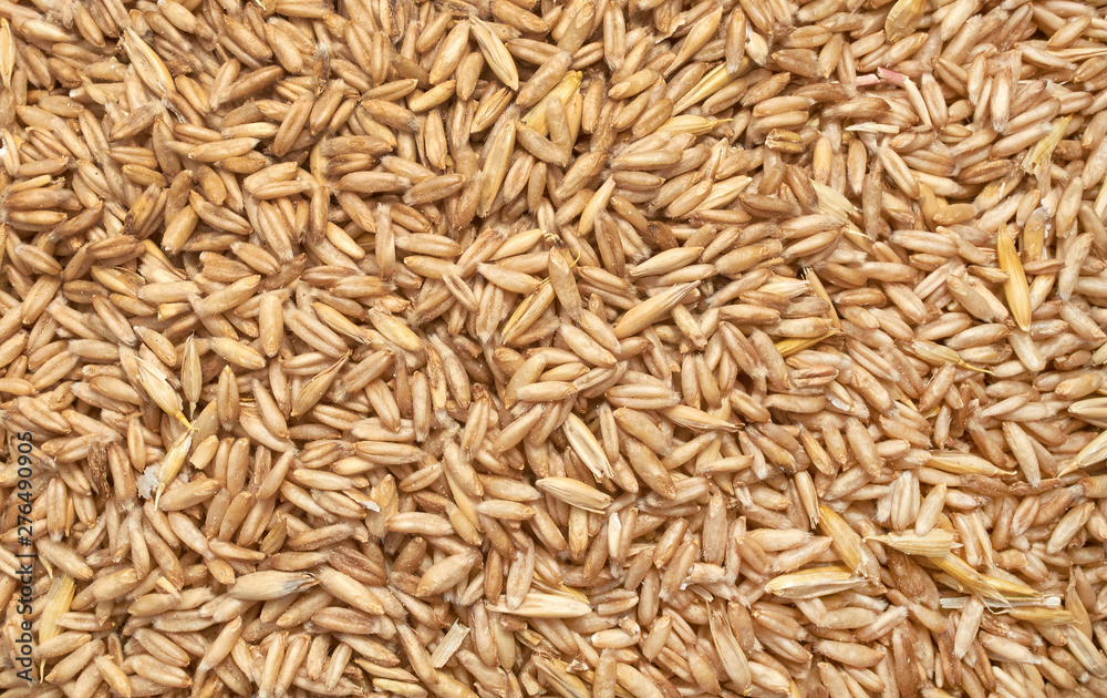 Background texture of crushed seed and grain mix for livestock and bird feed