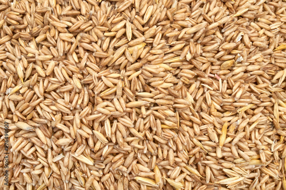 Background texture of crushed seed and grain mix for livestock and bird feed Background texture of crushed seed and grain mix for livestock and bird feed