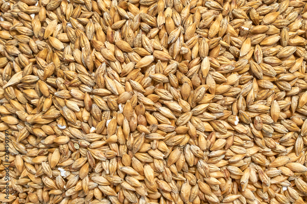 Background texture of crushed seed and grain mix for livestock and bird feed Background texture of crushed seed and grain mix for livestock and bird feed