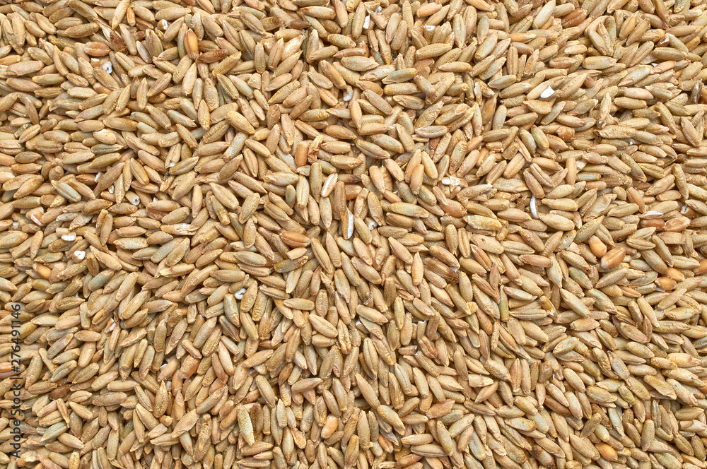 Background texture of crushed seed and grain mix for livestock and bird feed Background texture of crushed seed and grain mix for livestock and bird feed