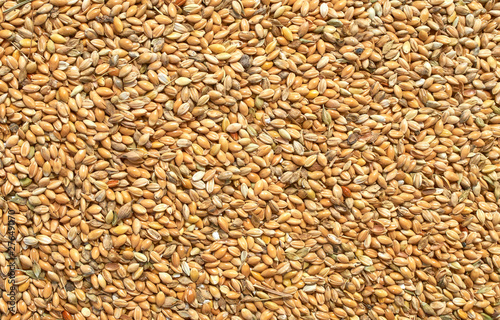 Background texture of crushed seed and grain mix for livestock and bird feed