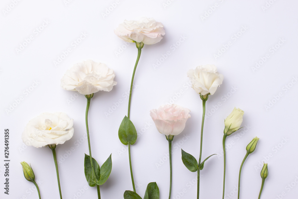 Gentle pink eustoma flowers on a pink pastel paper background. Gentle pink eustoma flowers on a pink pastel paper background.