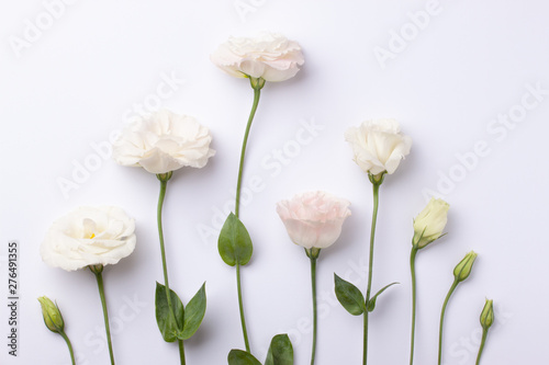 Gentle pink eustoma flowers on a pink pastel paper background.