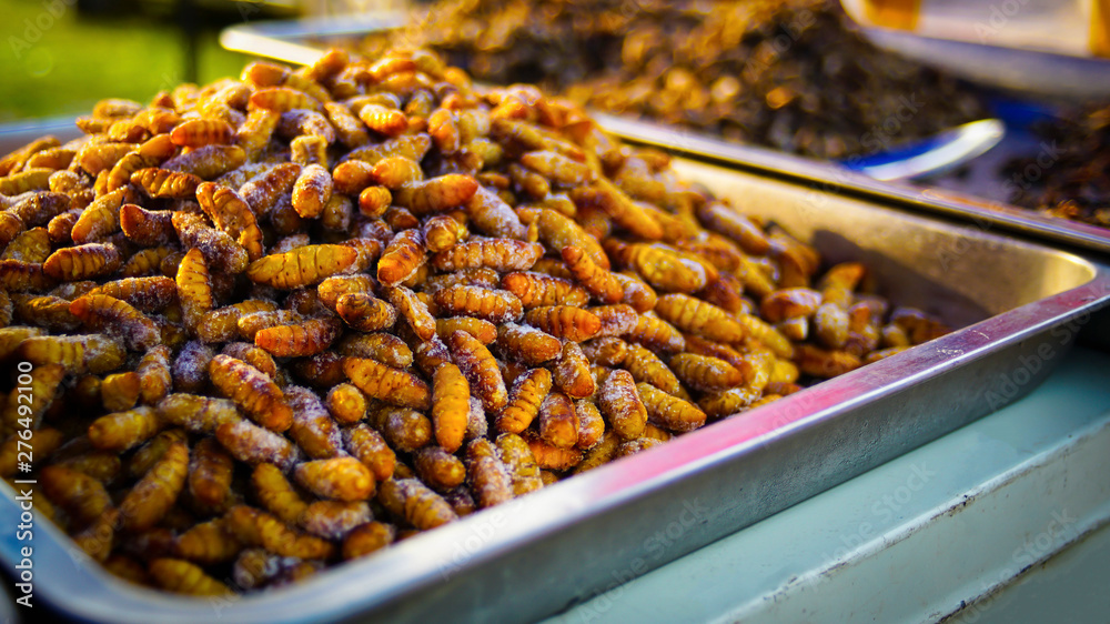 Fried Insect at street food in thailand
