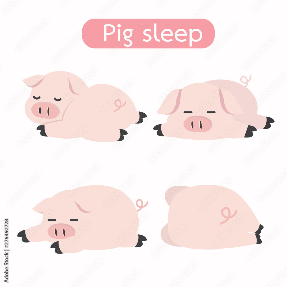 Cute sleeping pig Cartoon Vector set Cute sleeping pig Cartoon Vector set