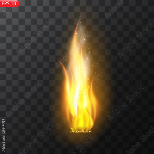 Realistic burning fire flames vector 