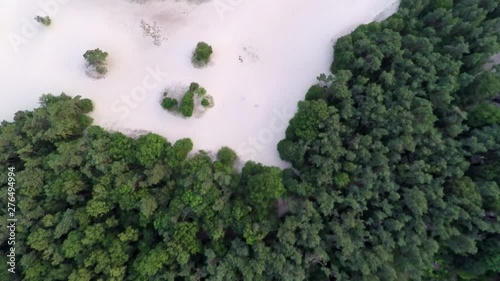 Aerial top down shot of trees and plants in sand dunes photo