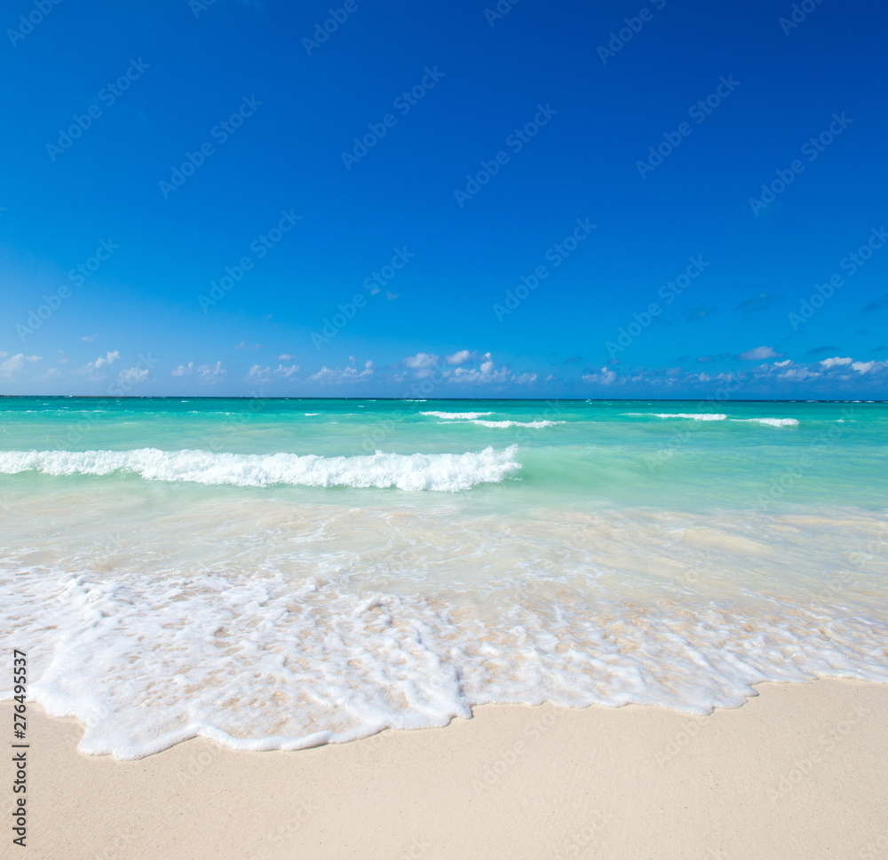 Fototapeta premium tropikalna plaża na Malediwach