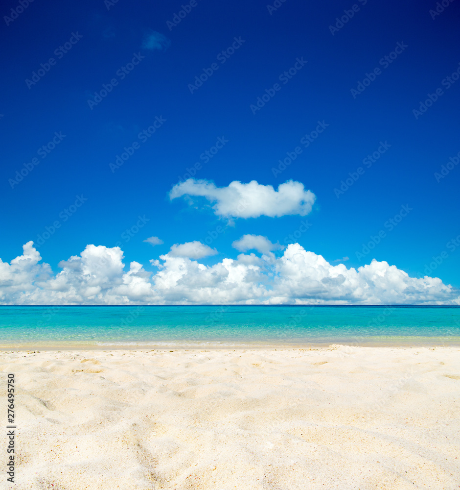 Fototapeta premium beautiful beach and tropical sea