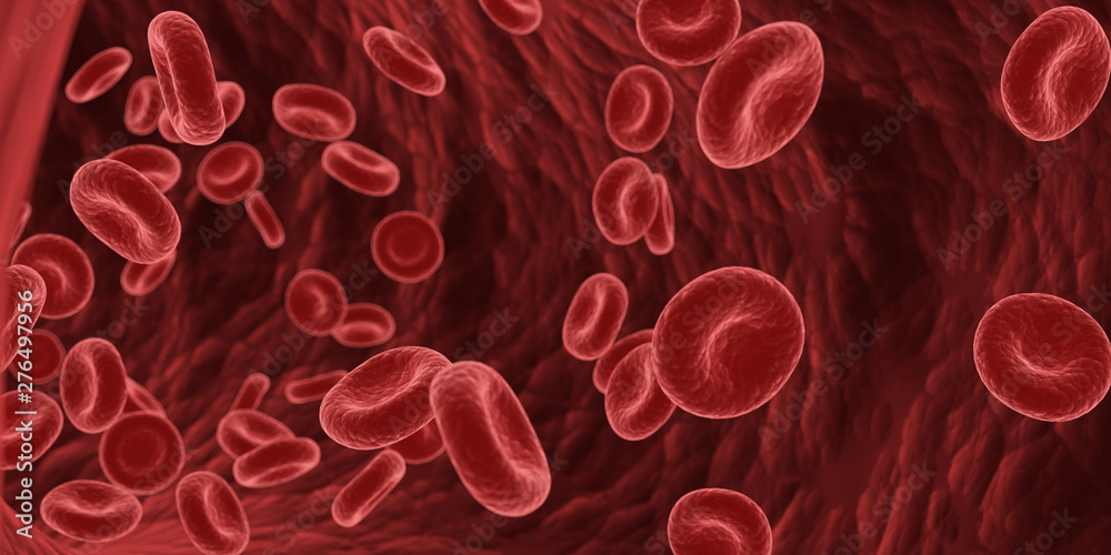 3d rendered medically accurate illustration of blood cells in a human artery 3d rendered medically accurate illustration of blood cells in a human artery