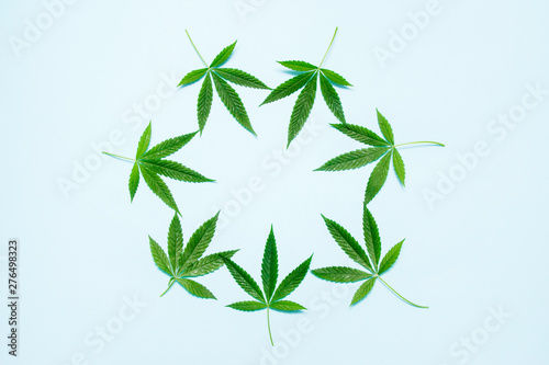 Cannabis leaf  marijuana on blue background  top view