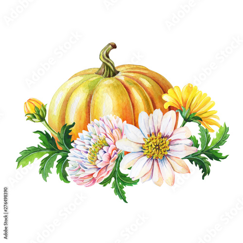 Orange pumpkin,chrysanthemums. Watercolor illustration with flower,green leaves on white background. Autumn harvest.