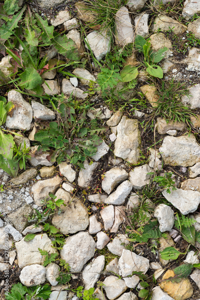 The texture of sprouted grass through the gravel