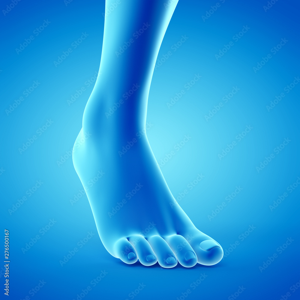 3d rendered medically accurate illustration of a walking foot 3d rendered medically accurate illustration of a walking foot
