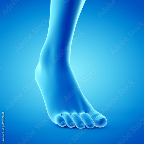 3d rendered medically accurate illustration of a walking foot