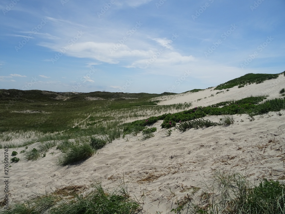 Dunes off Denmark