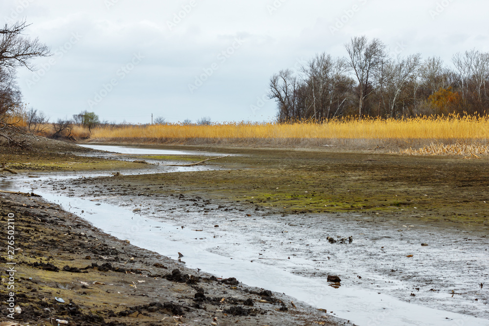The dry river bed with small remains of water with leafless forest on the shore