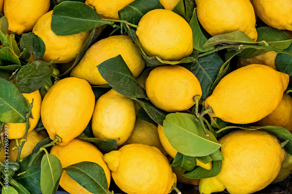 Fresh juicy lemons on the farmers market