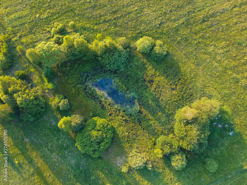 Overgrown pond from the height of the quadcopter in summer