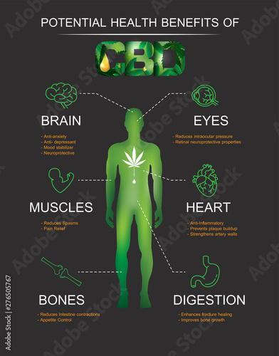 POTENTIAL HEALTH BENEFITS OF CBD OIL