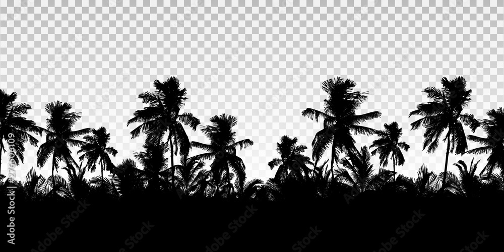 Realistic illustration of a horizon from the tops of palm trees. Black isolated on transparent background with space for your text, vector