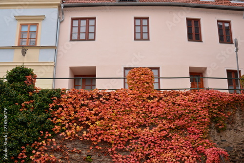 Canvas Print Side shot of the house in the town; Krems;Vienna;Austria