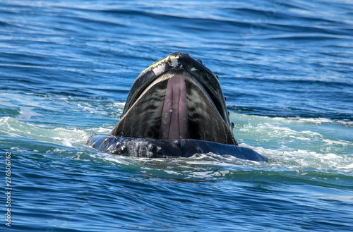 Open wide