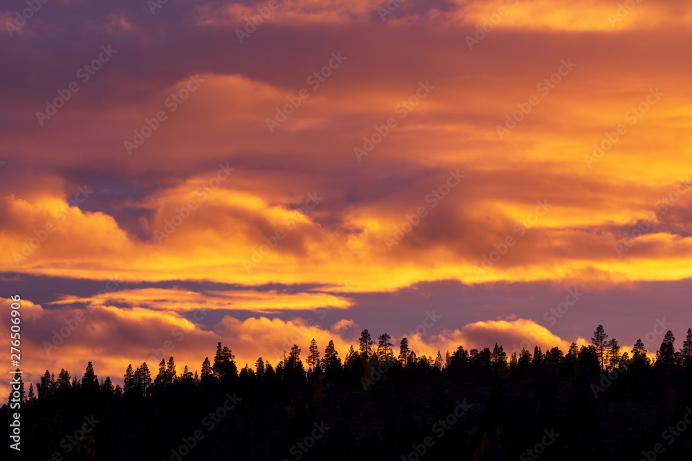 Sunset sky with clouds behind forest silhouette