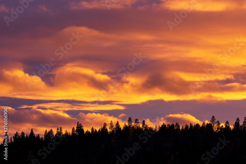 Sunset sky with clouds behind forest silhouette
