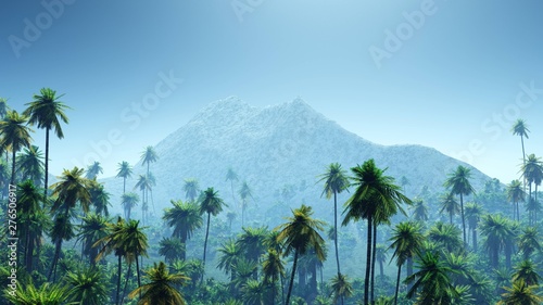 Jungle in the mountains in the morning, palm trees in the fog