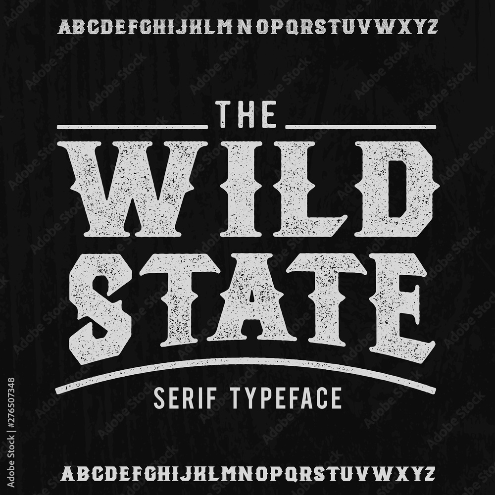 Wild State. Logo and serif font. Original handmade typeface. Stylish ...
